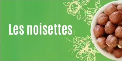 Famille Noisettes