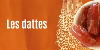 Famille Dattes
