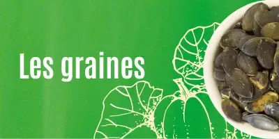Famille Graines