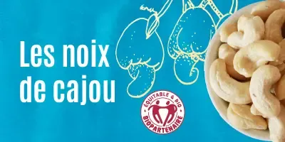 Famille Noix de cajou