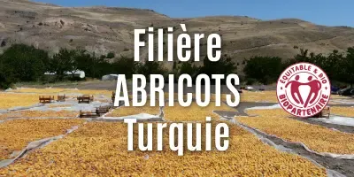 Filière Les abricots
