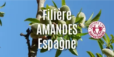 Filière Les amandes