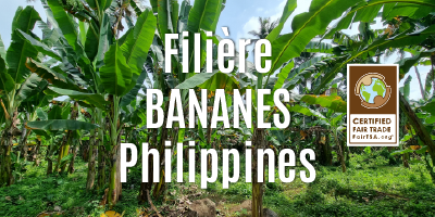 Filière Les bananes chips