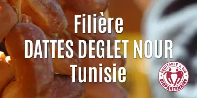 Les dattes Deglet Nour