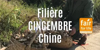 Le gingembre confit