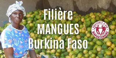 Les mangues séchées