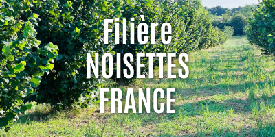 Noisettes