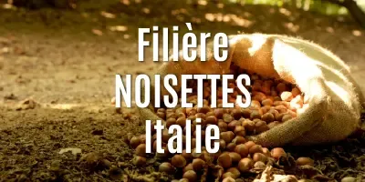 Les noisettes