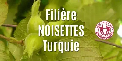 Filière Les noisettes