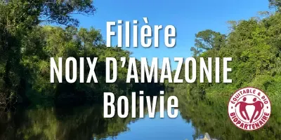 Les noix d'Amazonie