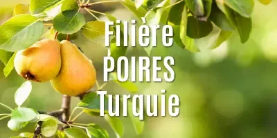 Poires séchées