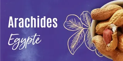 Arachides