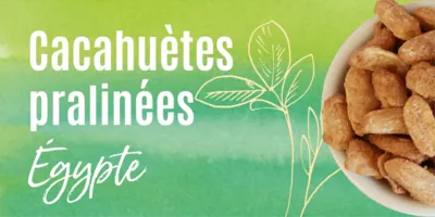 Cacahuètes pralinées