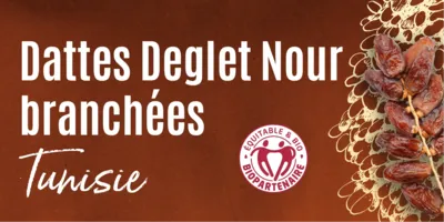 Dattes Deglet Nour