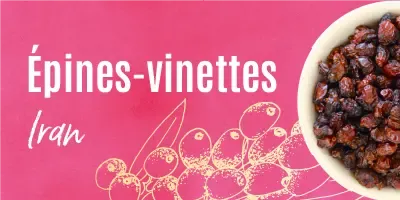 Epines-vinettes