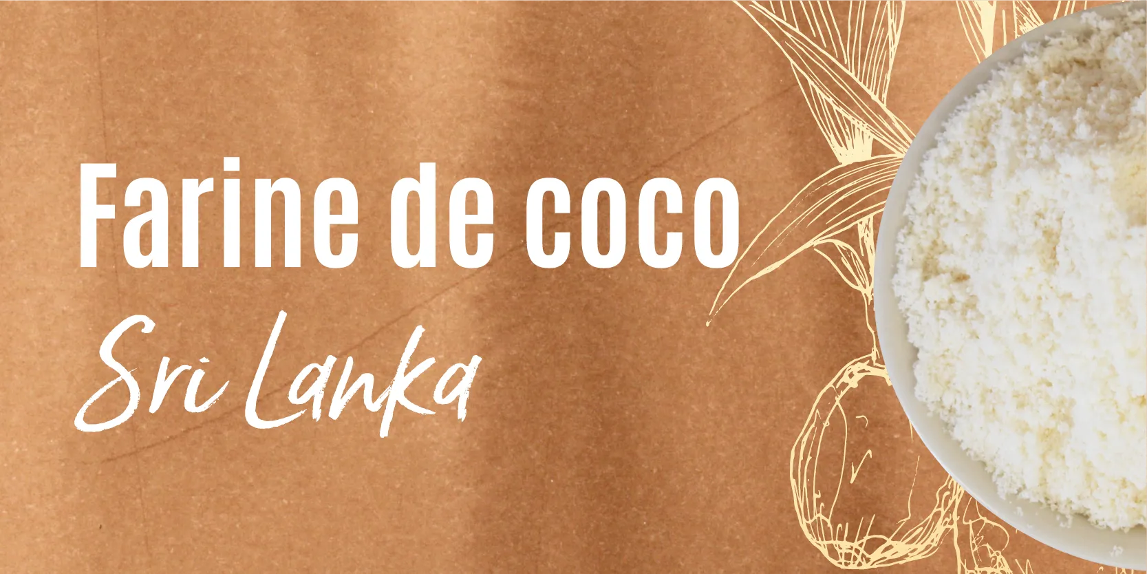 Farine de coco