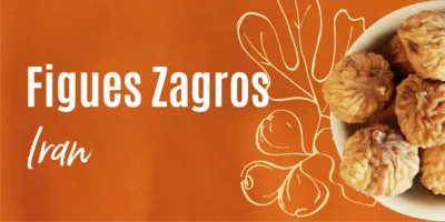 Figues Zagros