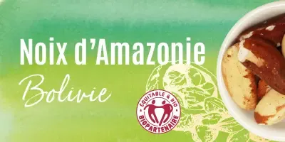 Noix d'Amazonie