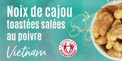 Noix de cajou