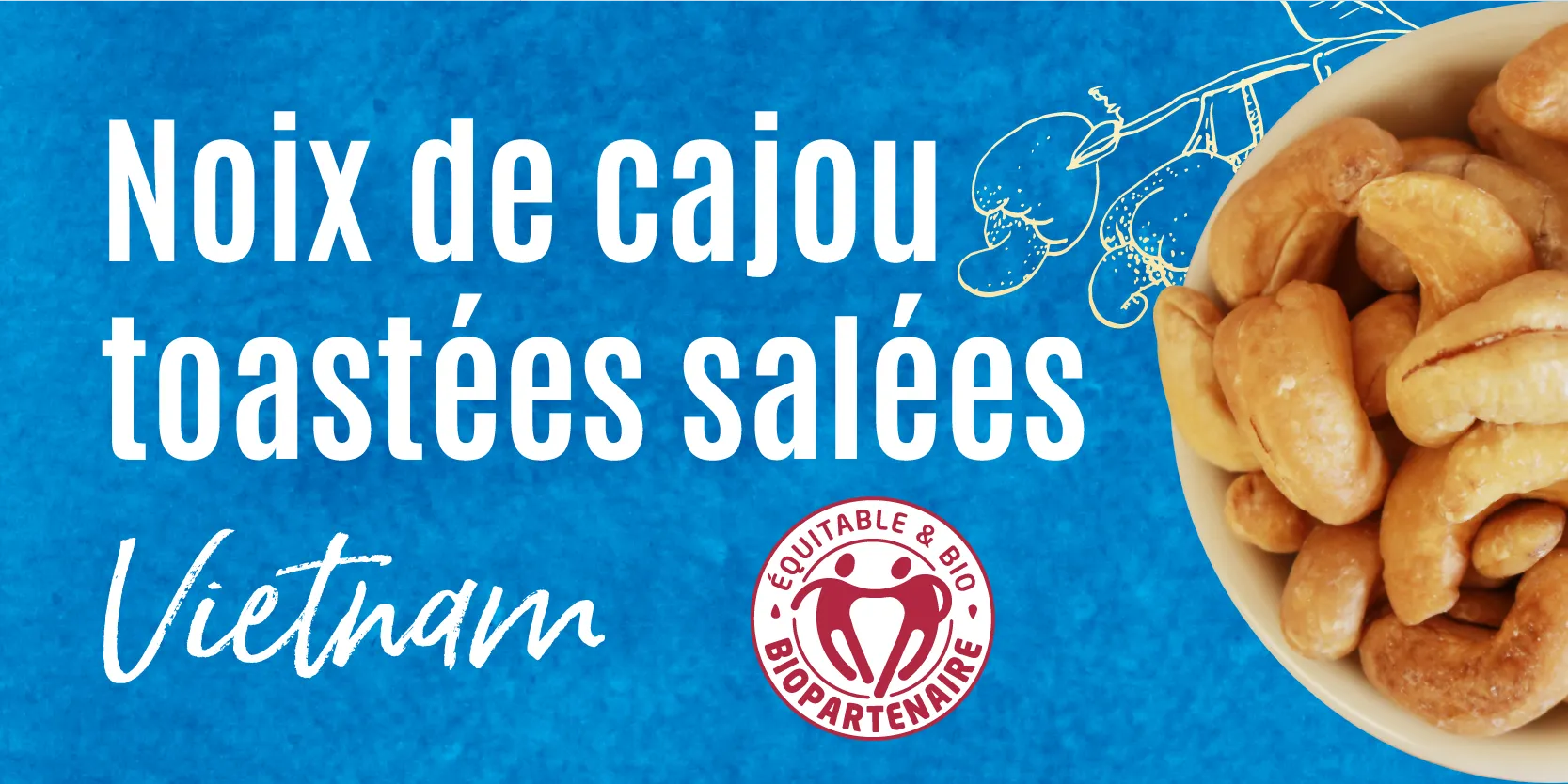 Noix de cajou