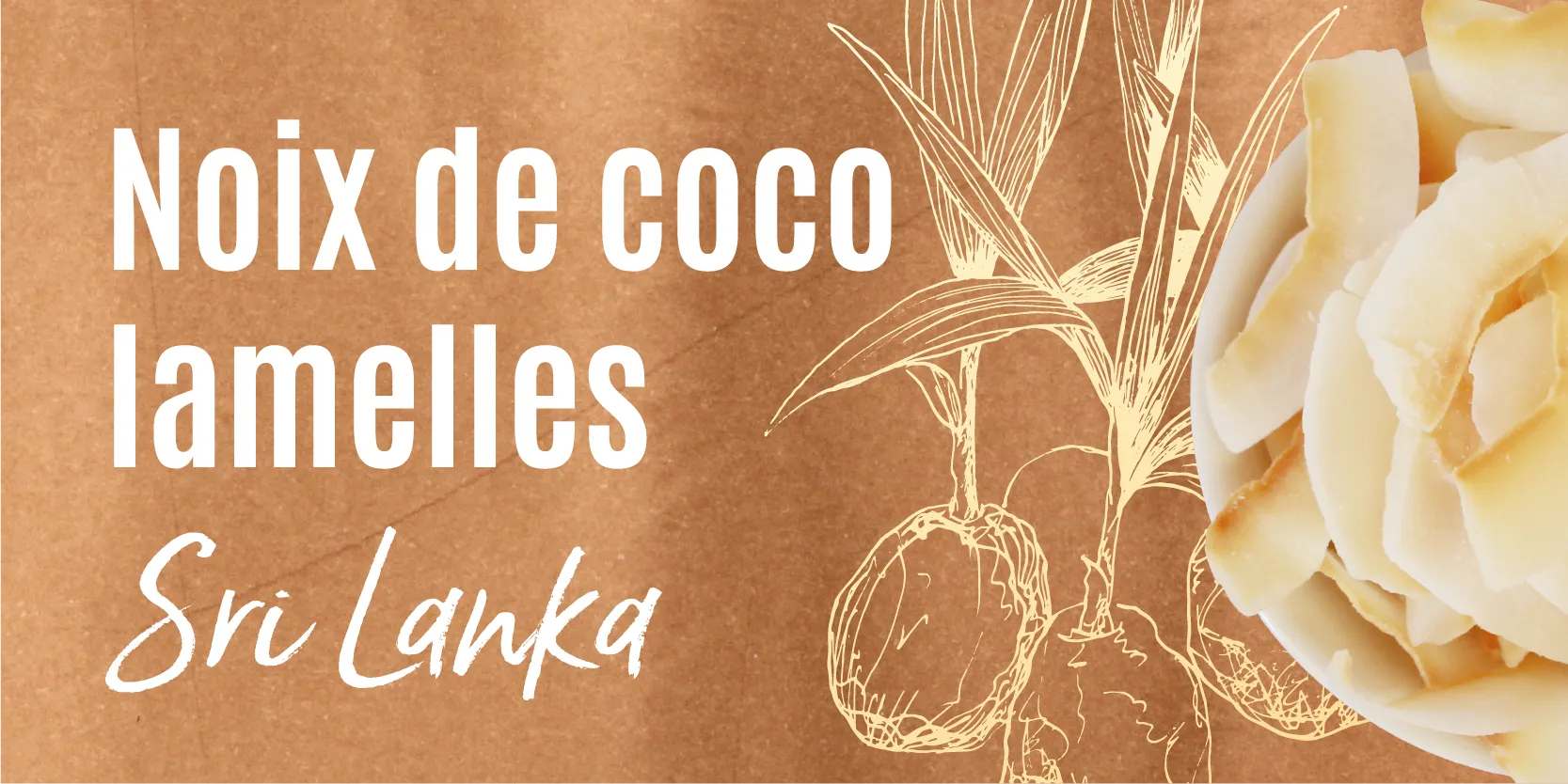 Noix de coco