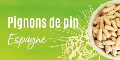 Pignons de pin
