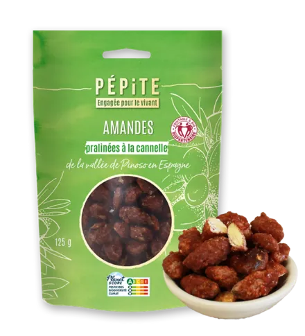 Les amandes pralinées à la cannelle de la vallée de Pinoso en Espagne