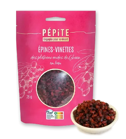 Les épines-vinettes  des plateaux de Ghaen en Iran