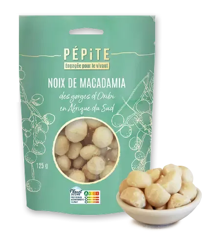 Les noix de Macadamia  des gorges d'Oribi en Afrique du Sud