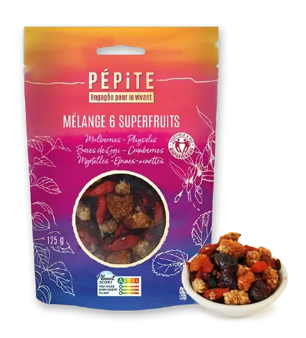 Le mélange 6 Superfruits Mulberries - Physalis - Baies de Goji - Cranberries - Myrtilles - Epines-vinettes