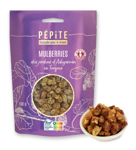 Les mulberries  des jardins d'Adiyaman en Turquie
