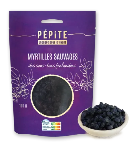 Les myrtilles sauvages  des sous-bois finlandais