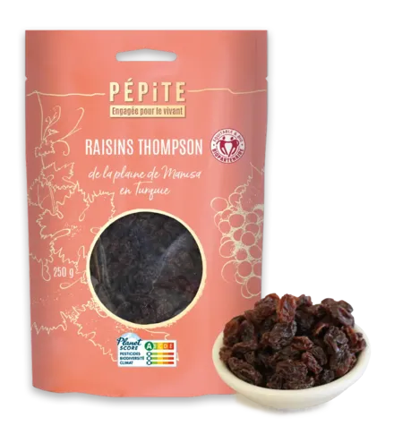 Les raisins Thompson  de la plaine de Manisa en Turquie