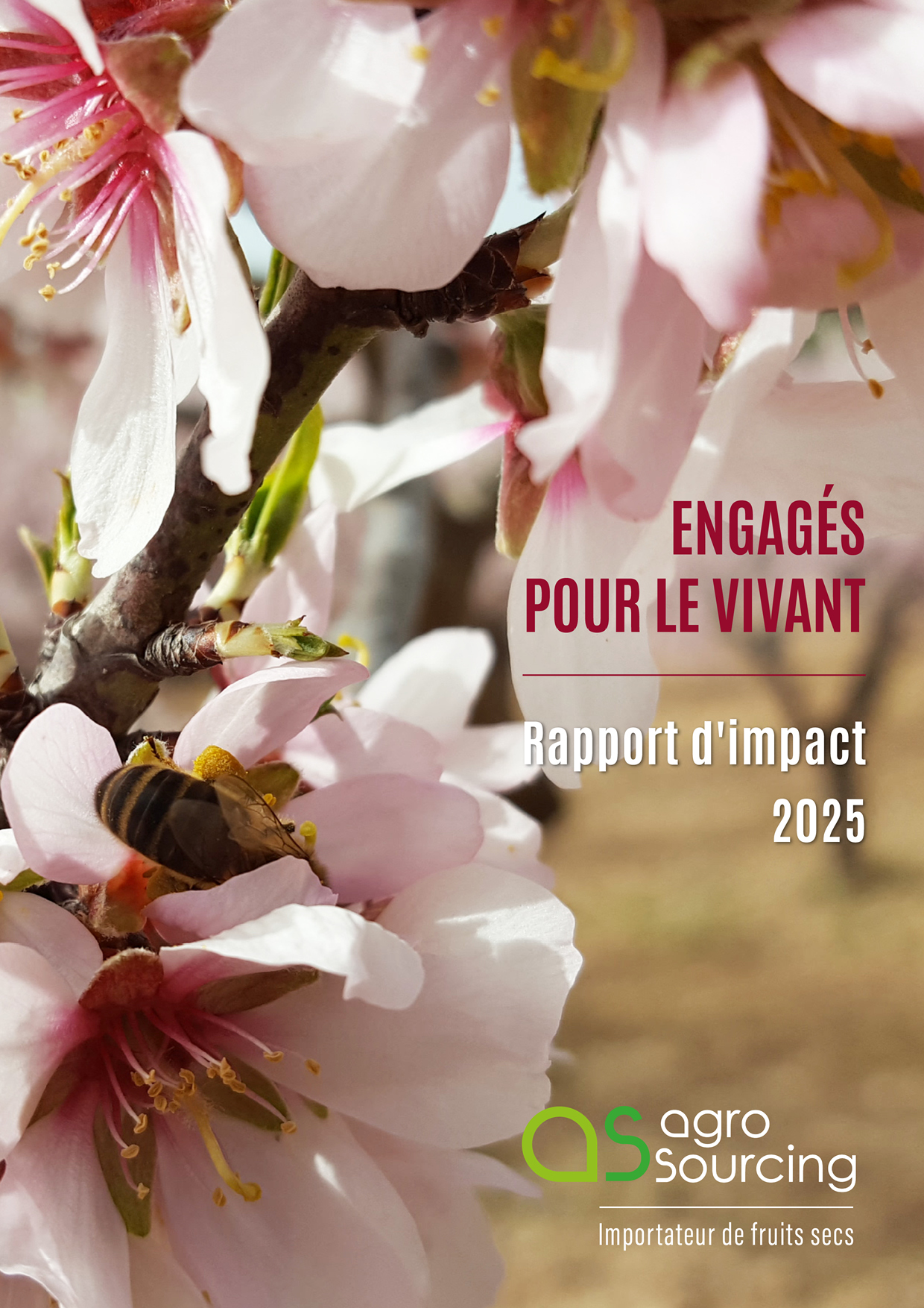 Rapport d'impact Agro Sourcing 2025